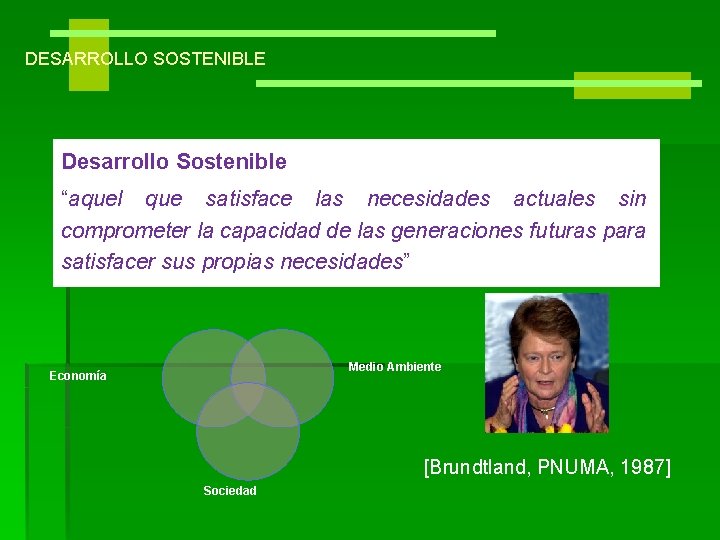 DESARROLLO SOSTENIBLE Desarrollo Sostenible “aquel que satisface las necesidades actuales sin comprometer la capacidad