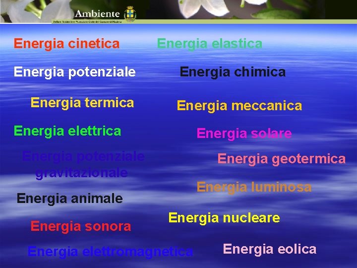 Energia cinetica Energia potenziale Energia termica Energia elastica Energia chimica Energia meccanica Energia elettrica