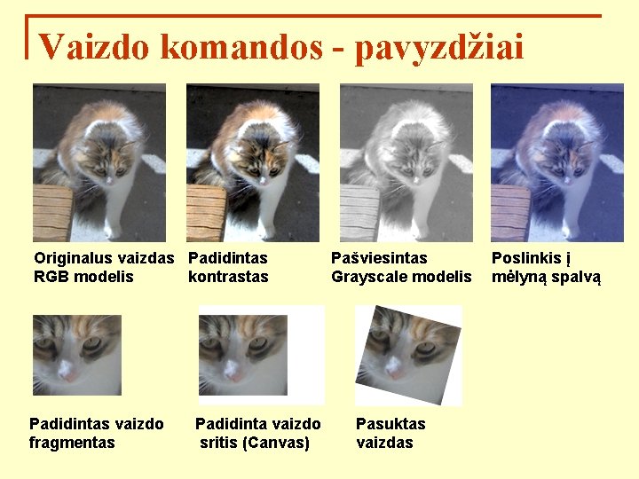 Vaizdo komandos - pavyzdžiai Originalus vaizdas Padidintas RGB modelis kontrastas Padidintas vaizdo fragmentas Padidinta