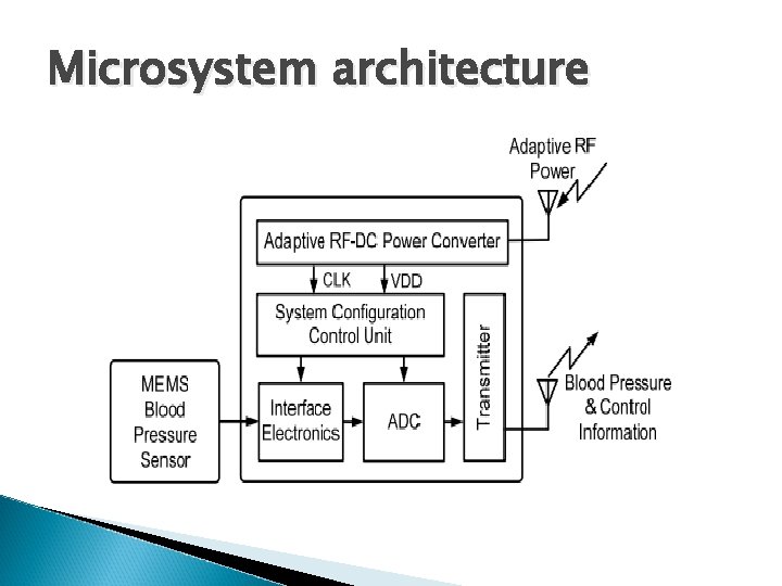 Microsystem architecture 