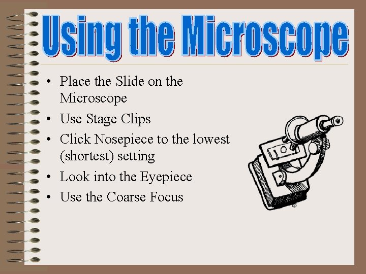  • Place the Slide on the Microscope • Use Stage Clips • Click