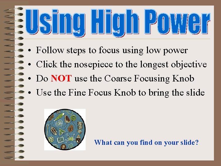 • • Follow steps to focus using low power Click the nosepiece to