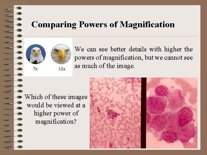 Comparing Powers of Magnification We can see better details with higher the powers of