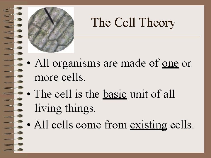 The Cell Theory • All organisms are made of one or more cells. •