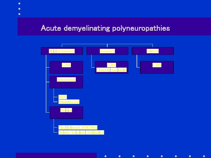 Acute demyelinating polyneuropathies 