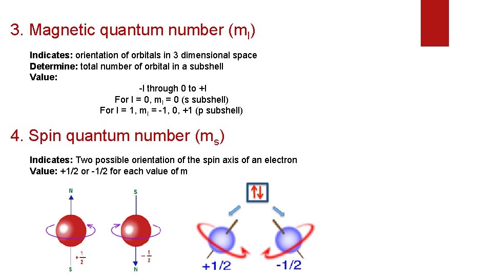 3. Magnetic quantum number (ml) Indicates: orientation of orbitals in 3 dimensional space Determine: