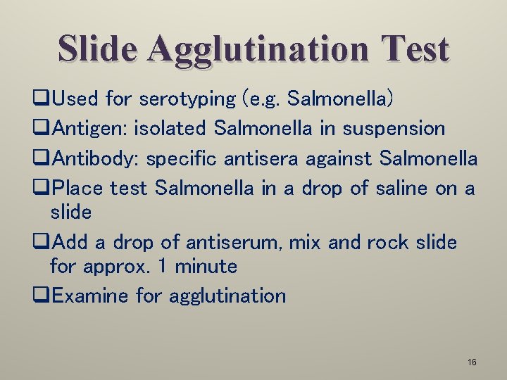 Slide Agglutination Test q. Used for serotyping (e. g. Salmonella) q. Antigen: isolated Salmonella