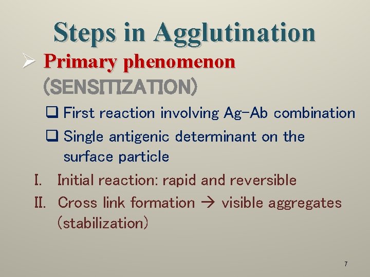 Steps in Agglutination Ø Primary phenomenon (SENSITIZATION) q First reaction involving Ag-Ab combination q