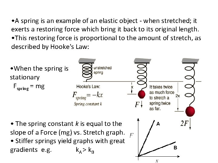  • A spring is an example of an elastic object - when stretched;