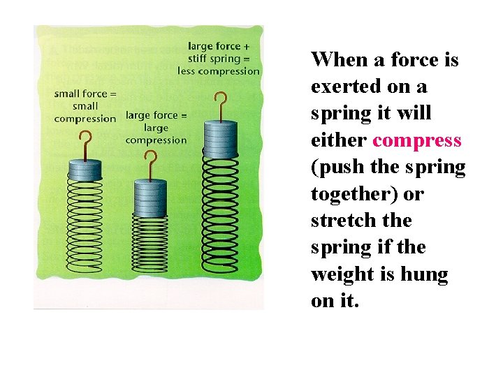 When a force is exerted on a spring it will either compress (push the