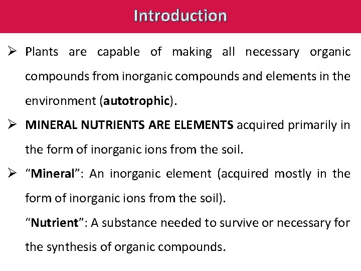 Introduction Ø Plants are capable of making all necessary organic compounds from inorganic compounds
