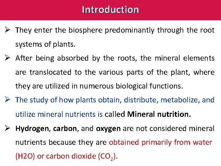 Introduction Ø They enter the biosphere predominantly through the root systems of plants. Ø