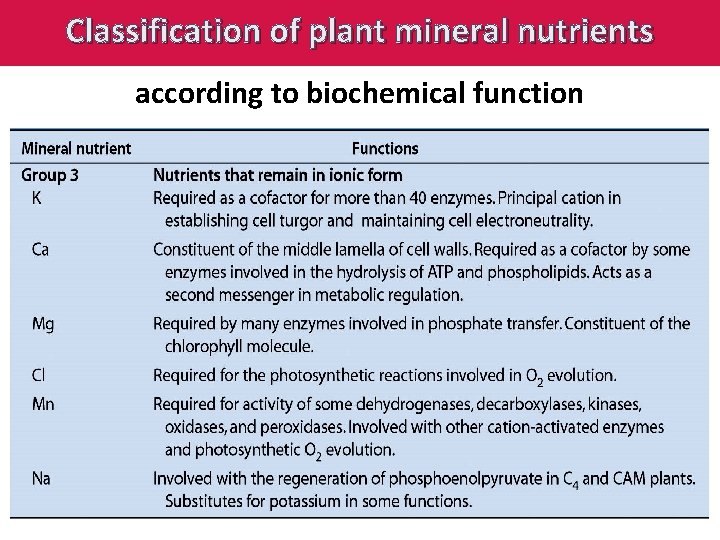 Classification of plant mineral nutrients according to biochemical function 