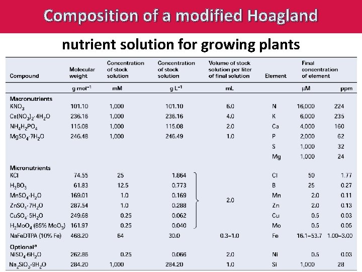 Composition of a modified Hoagland nutrient solution for growing plants 