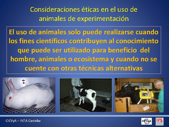 Consideraciones éticas en el uso de animales de experimentación El uso de animales solo
