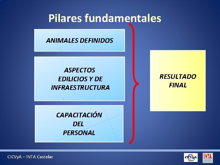 Pilares fundamentales ANIMALES DEFINIDOS ASPECTOS EDILICIOS Y DE INFRAESTRUCTURA CAPACITACIÓN DEL PERSONAL CICVy. A