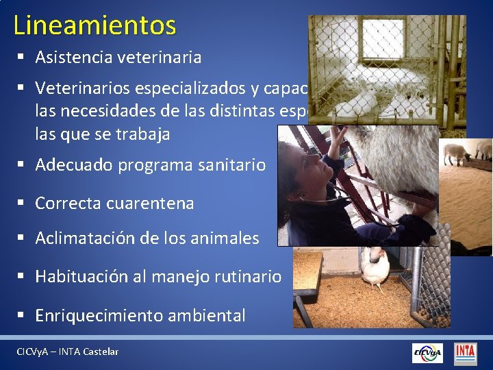 Lineamientos § Asistencia veterinaria § Veterinarios especializados y capacitados para atender las necesidades de