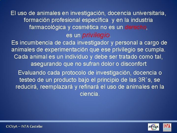 El uso de animales en investigación, docencia universitaria, formación profesional específica y en la