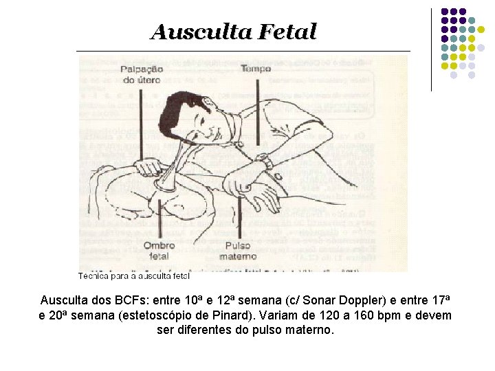 Ausculta Fetal Ausculta dos BCFs: entre 10ª e 12ª semana (c/ Sonar Doppler) e