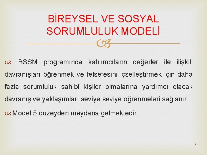 BİREYSEL VE SOSYAL SORUMLULUK MODELİ BSSM programında katılımcıların değerler ile ilişkili davranışları öğrenmek ve