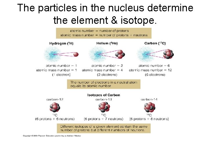 The particles in the nucleus determine the element & isotope. 