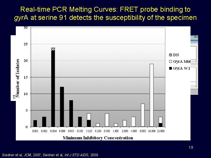 Real-time PCR Melting Curves: FRET probe binding to gyr. A at serine 91 detects