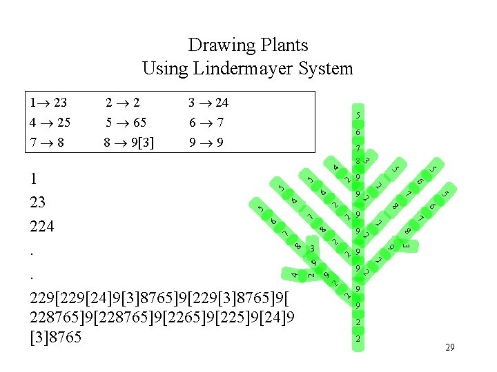 Drawing Plants Using Lindermayer System 3 24 6 7 9 9 5 6 7