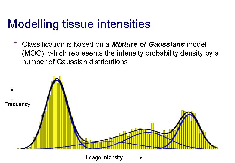 Modelling tissue intensities * Classification is based on a Mixture of Gaussians model (MOG),