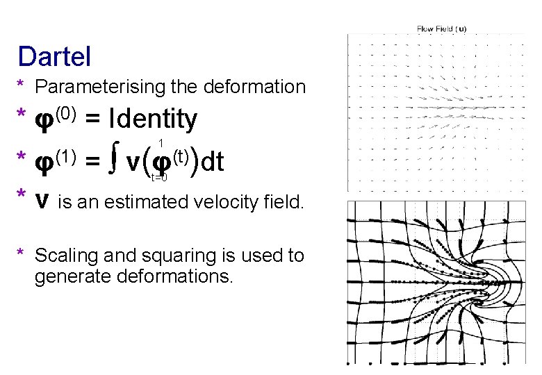 Dartel * Parameterising the deformation * φ(0) = Identity 1 * φ(1) = ∫