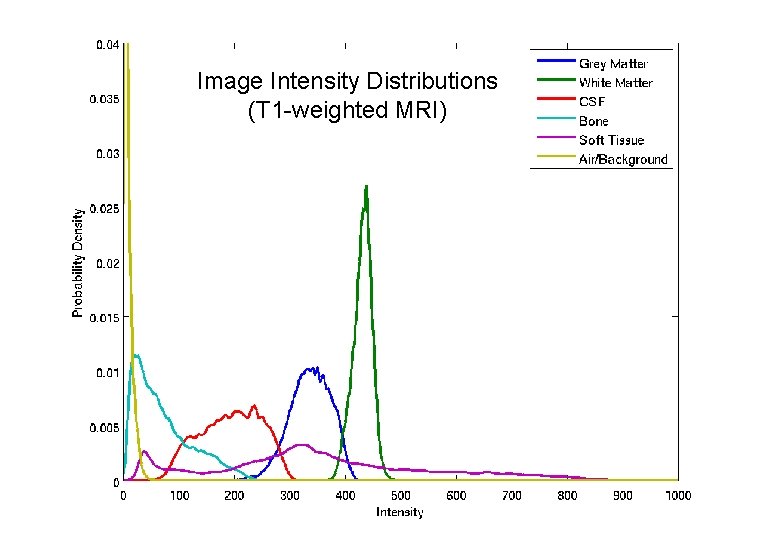 Image Intensity Distributions (T 1 -weighted MRI) 