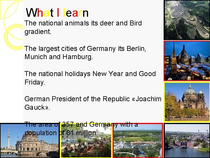 What I learn The national animals its deer and Bird gradient. The largest cities