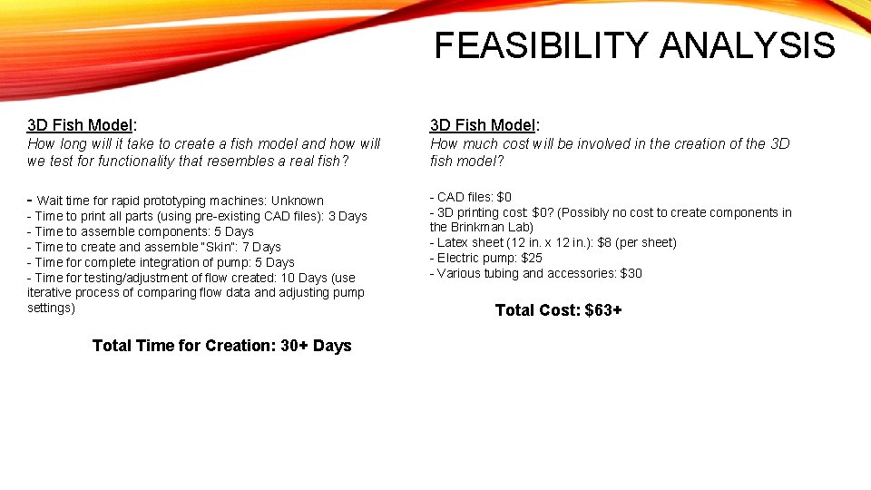 FEASIBILITY ANALYSIS 3 D Fish Model: How long will it take to create a