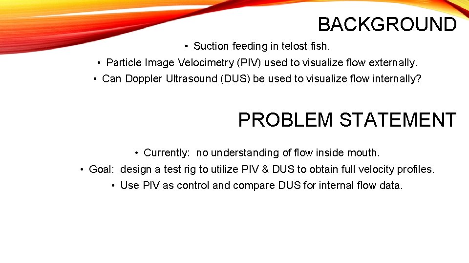 BACKGROUND • Suction feeding in telost fish. • Particle Image Velocimetry (PIV) used to