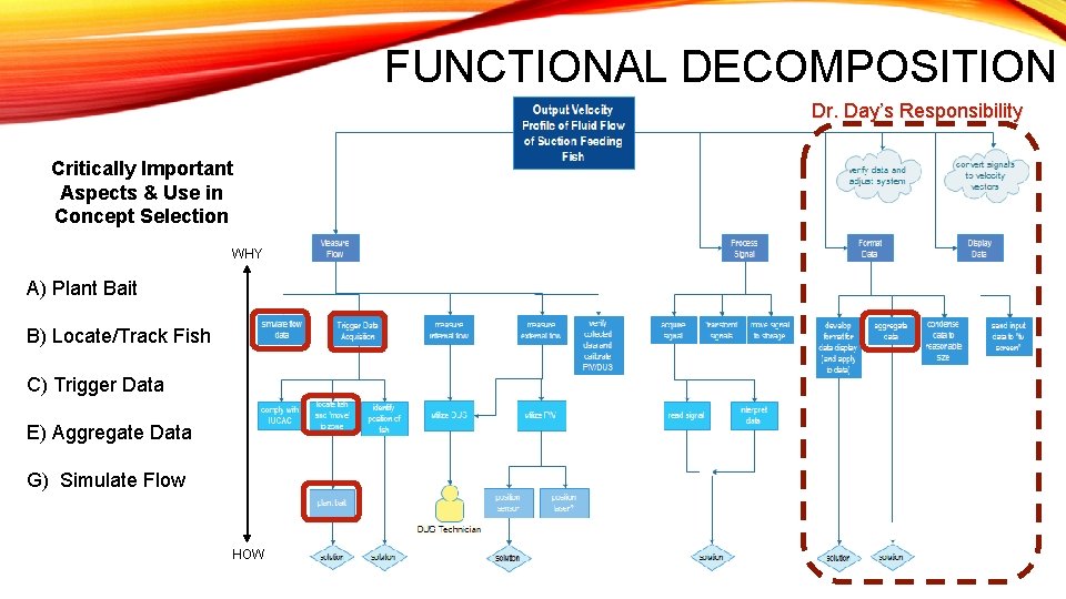 FUNCTIONAL DECOMPOSITION Dr. Day’s Responsibility Critically Important Aspects & Use in Concept Selection WHY