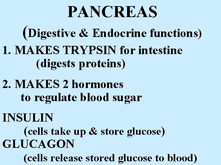 PANCREAS (Digestive & Endocrine functions) 1. MAKES TRYPSIN for intestine (digests proteins) 2. MAKES