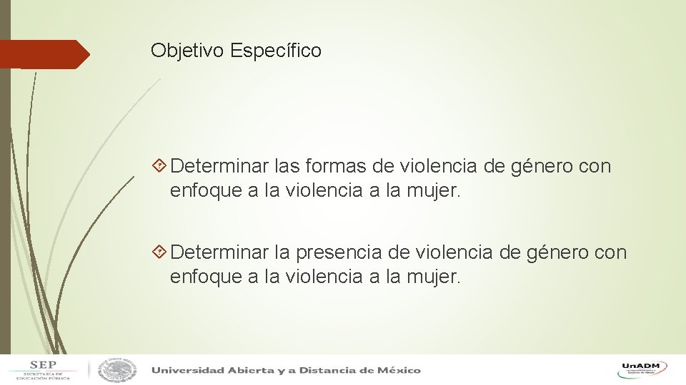 Objetivo Específico Determinar las formas de violencia de género con enfoque a la violencia