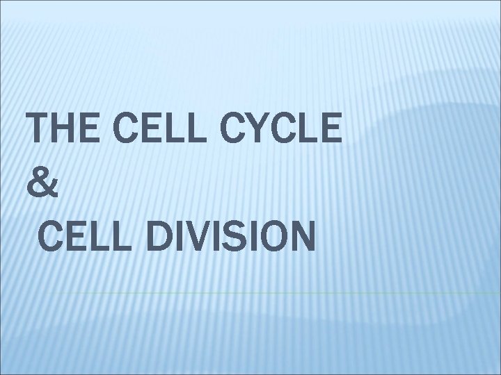 THE CELL CYCLE & CELL DIVISION 