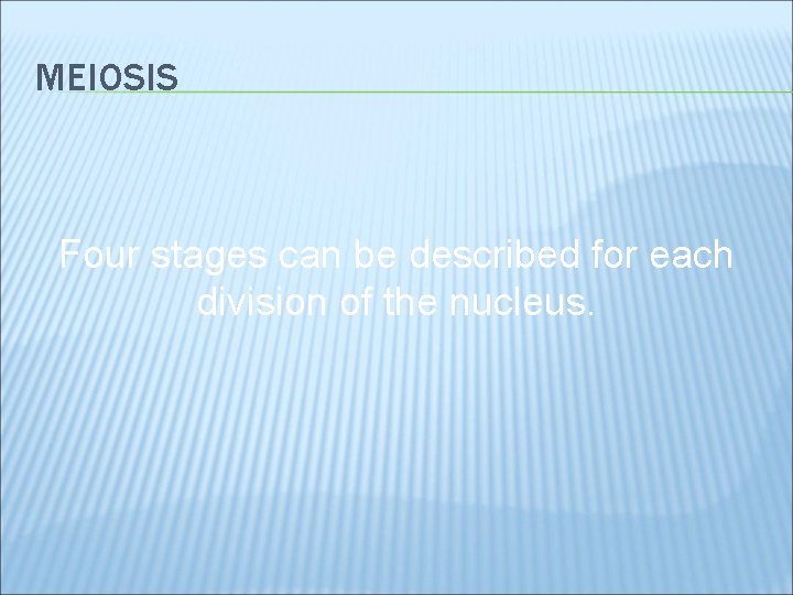 MEIOSIS Four stages can be described for each division of the nucleus. 