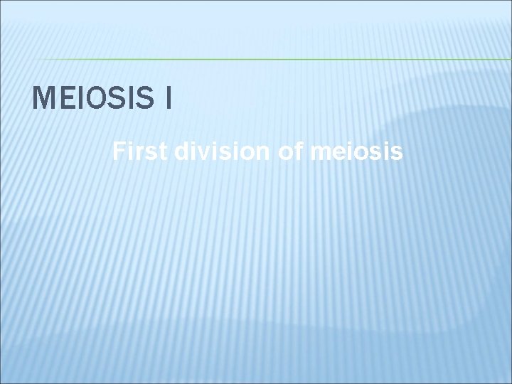 MEIOSIS I First division of meiosis 