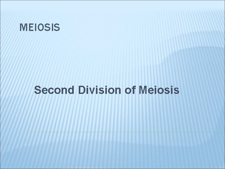 MEIOSIS Second Division of Meiosis 
