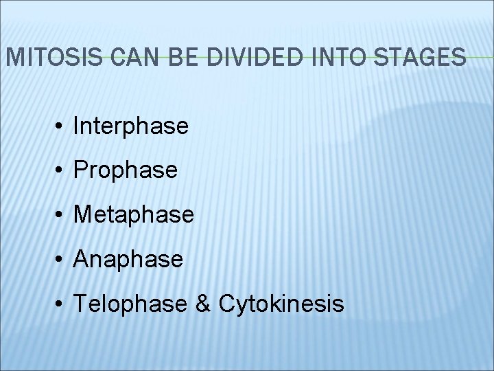 MITOSIS CAN BE DIVIDED INTO STAGES • Interphase • Prophase • Metaphase • Anaphase
