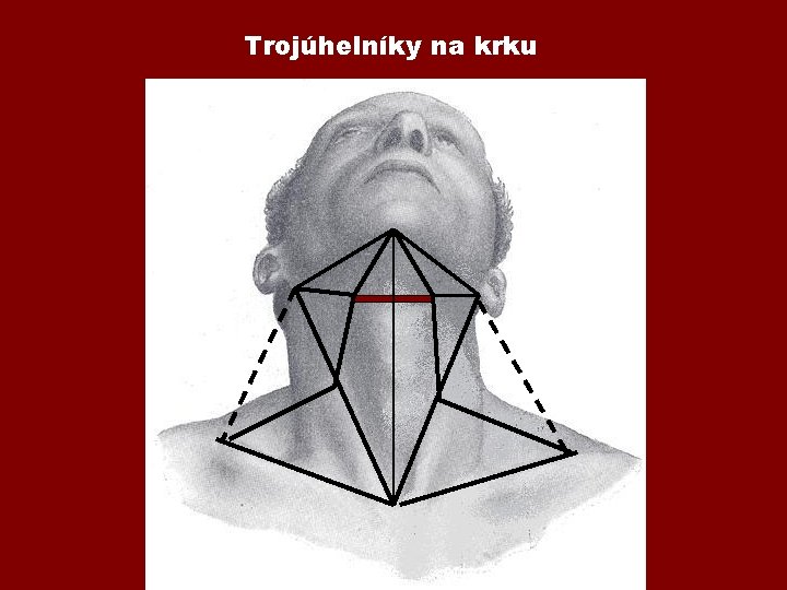 Trojúhelníky na krku 