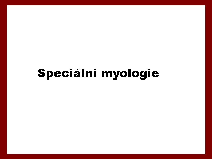 Speciální myologie 