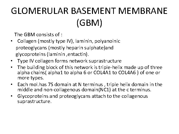 GLOMERULAR BASEMENT MEMBRANE (GBM) • • • The GBM consists of : Collagen (mostly