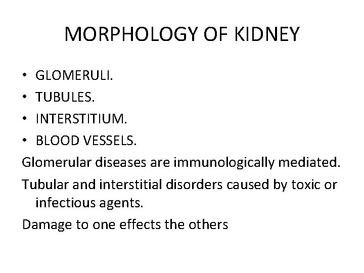 MORPHOLOGY OF KIDNEY • GLOMERULI. • TUBULES. • INTERSTITIUM. • BLOOD VESSELS. Glomerular diseases