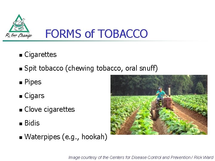 FORMS of TOBACCO n Cigarettes n Spit tobacco (chewing tobacco, oral snuff) n Pipes