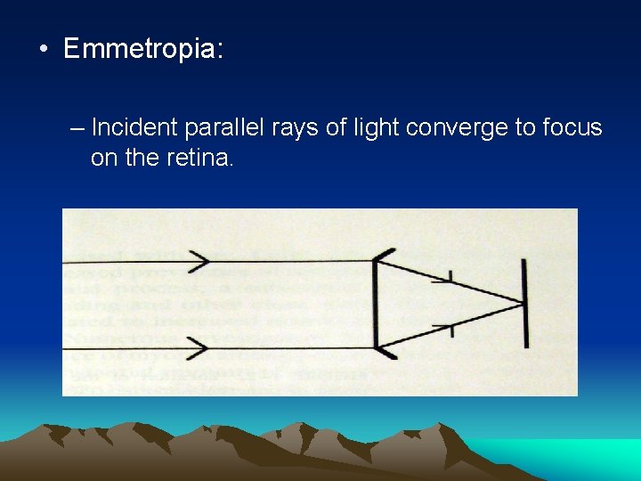  • Emmetropia: – Incident parallel rays of light converge to focus on the