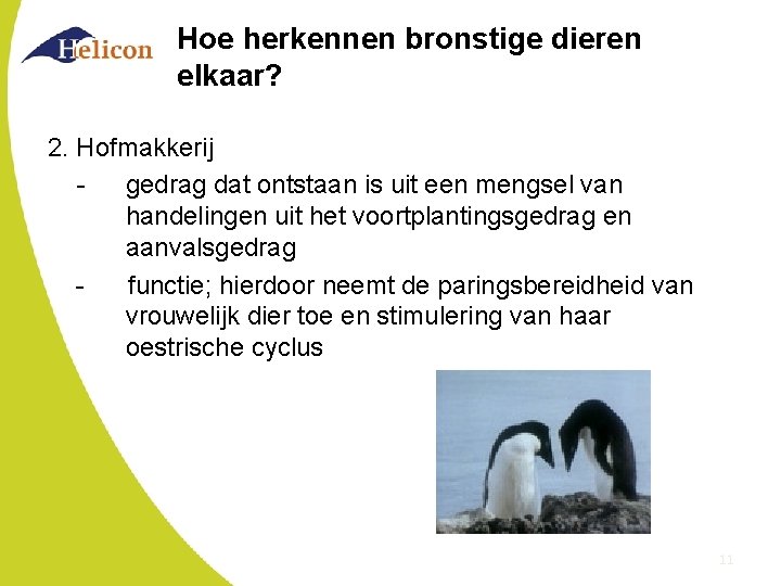 Hoe herkennen bronstige dieren elkaar? 2. Hofmakkerij gedrag dat ontstaan is uit een mengsel