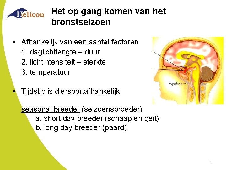 Het op gang komen van het bronstseizoen • Afhankelijk van een aantal factoren 1.