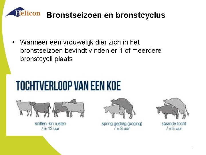 Bronstseizoen en bronstcyclus • Wanneer een vrouwelijk dier zich in het bronstseizoen bevindt vinden